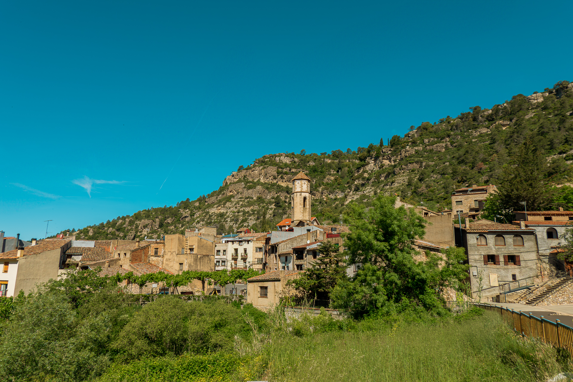 Paseo primaveral por Arbolí