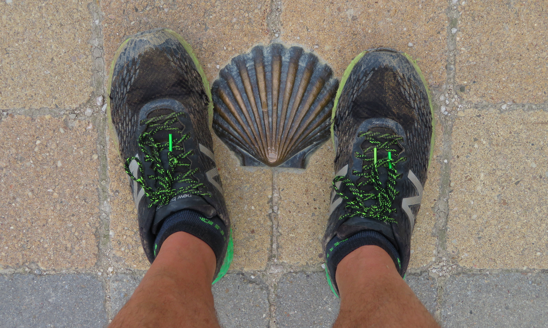 Camino de Santiago (en 11 días)