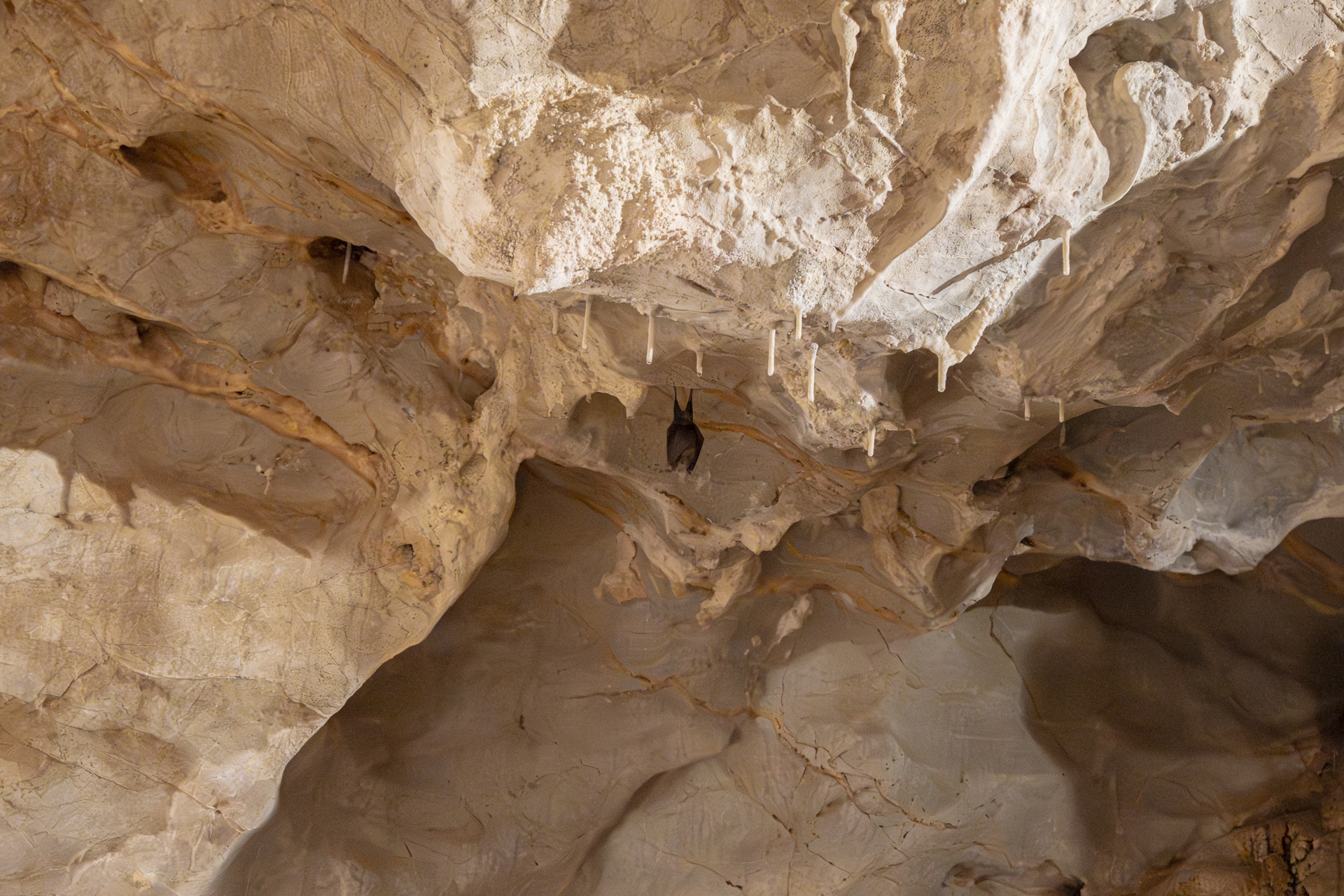 Cueva de las Güixas (Villanúa, Huesca)