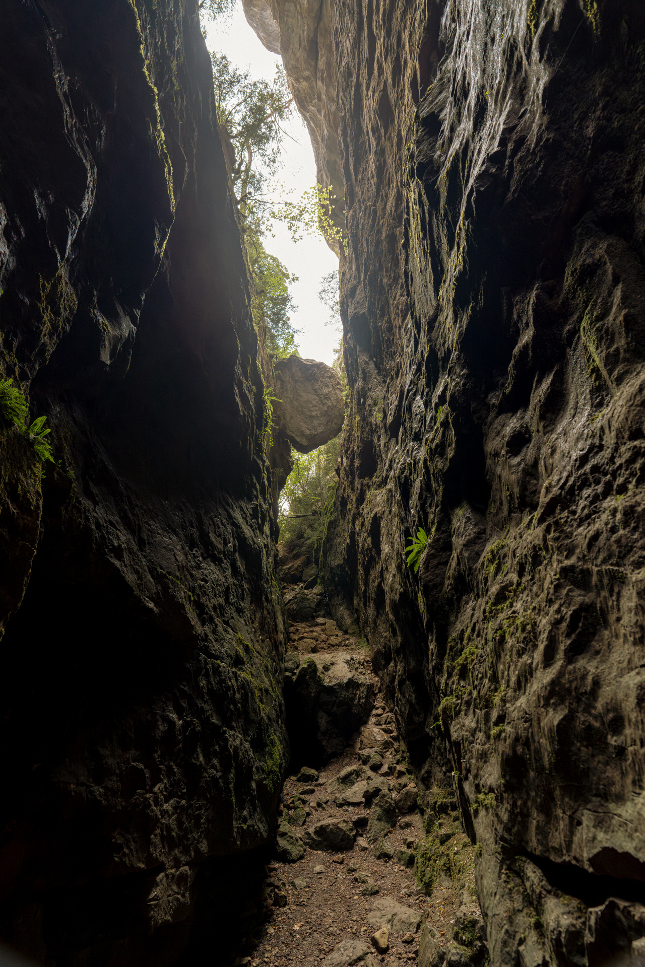 Avencots dels Motllats de la Pona i Avencs de la Febró (Tarragona)
