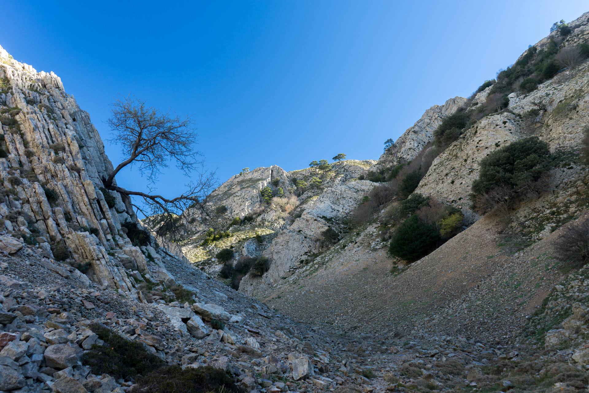 Barranc del Carrer Ample (Els Ports)