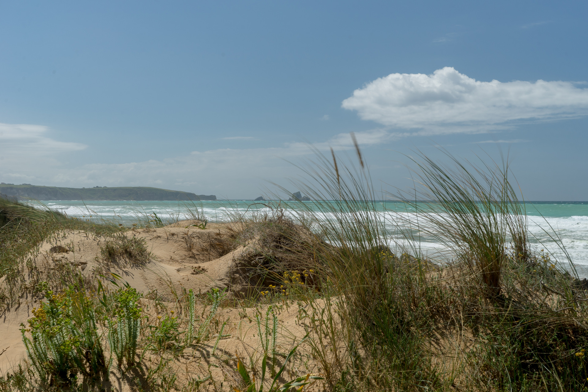 Parque Natural de las Dunas de Liencres (Cantabria)