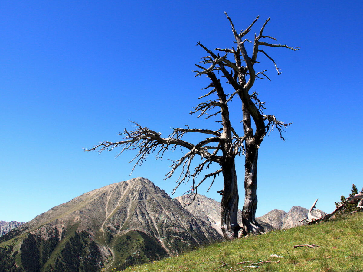 Pic del Pinetó (2.648 m)