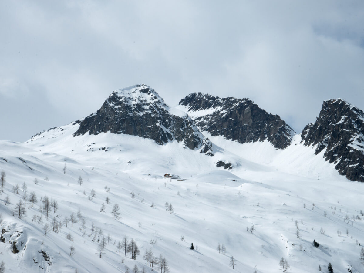 Presanella (3.558m)