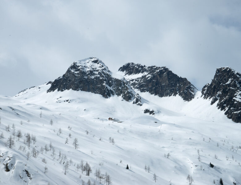 Presanella (3.558m)
